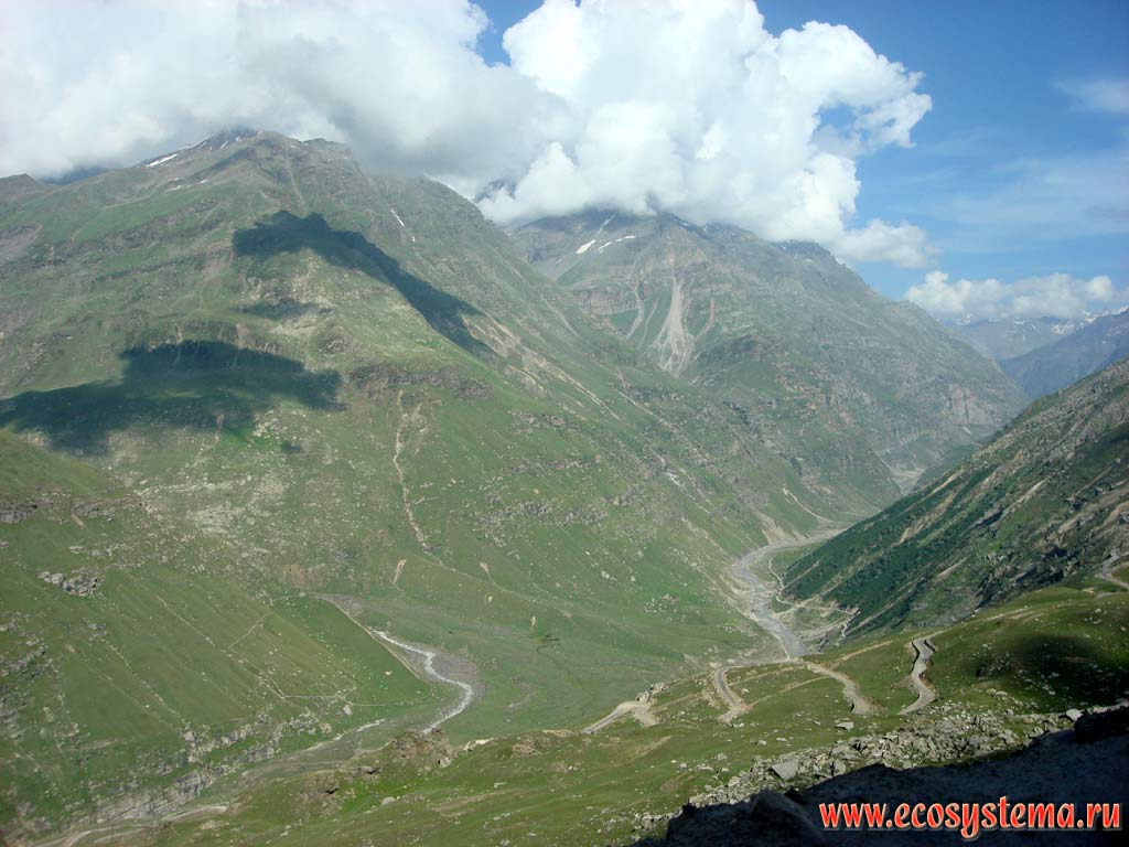 Высотный пояс альпийских лугов в альпийском поясе Главного Гималайского хребта. Большие Гималаи, высоты от 3300 до 3800 м над уровнем моря, штат Химачал-Прадеш, север Индии