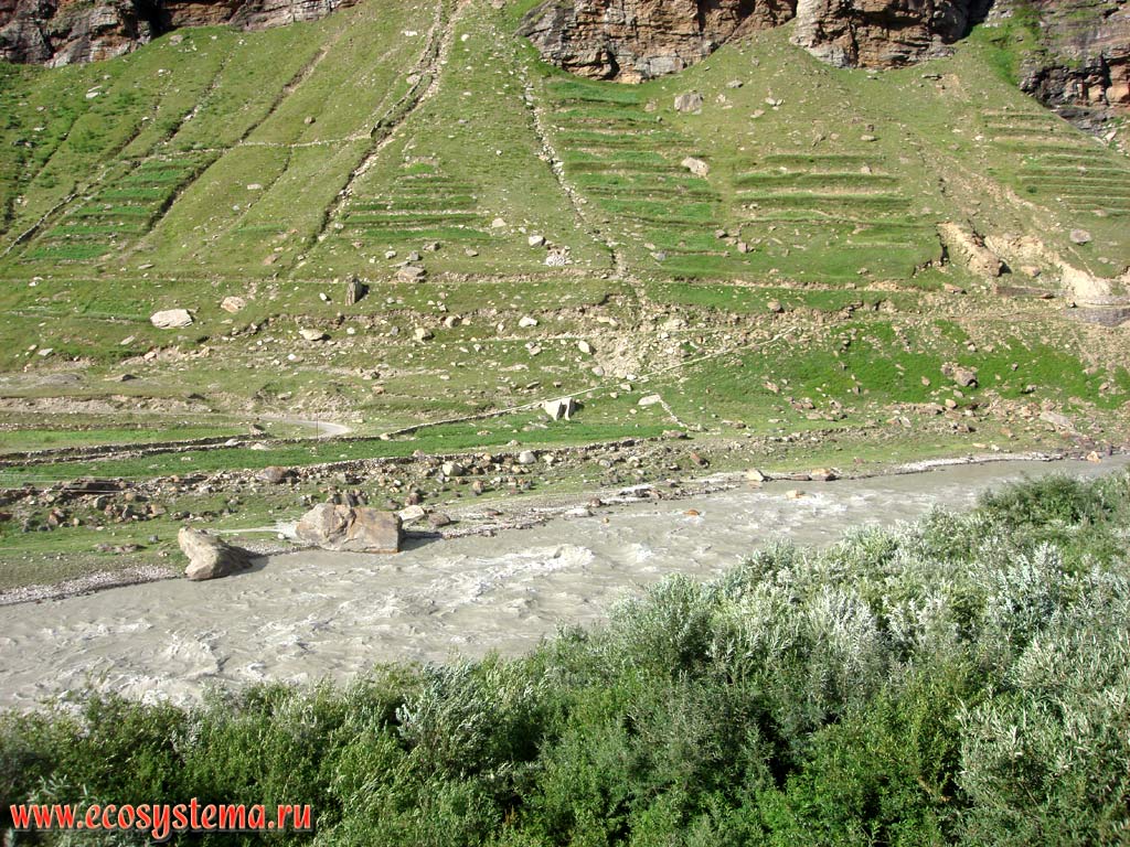 The bed of a mountain river Chenab with the floodplain deciduous forest and terraced farming on the slopes in the Great Himalayas. Heights from 3300 to 3800 m above sea level. Himachal Pradesh, Northern India
