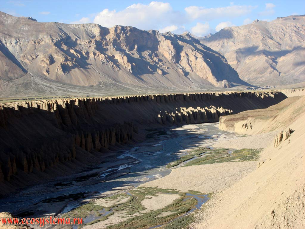 Водная эрозия берегов горной реки Царап после перевала Сарчу (лагерь Сарчу) - один из типов денудации (разрушения) осадочных горных пород. Русло реки прорезало аллювиальные отложения, заполнившие межгорную впадину. Высотный пояс высокогорной пустыни в Больших Гималаях. Хребет Заскар (Занскар), высота около 5000 м над уровнем моря, штат Джамму и Кашмир, север Индии