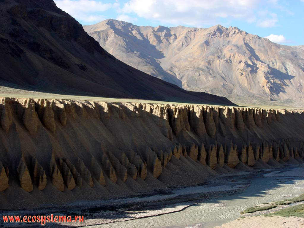 Water erosion of the mountain river banks - Carap river after Sarchu Pass (Camp Sarchu) - a type of a denudation (destruction) of sedimentary rocks. The riverbed cut the alluvial deposits filled the intermountain basin. Altitudinal zone of the alpine desert in the Great Himalayas. Ridge Zaskar (Zanskar), height is about 5,000 m above sea level. Jammu and Kashmir, Northern India
