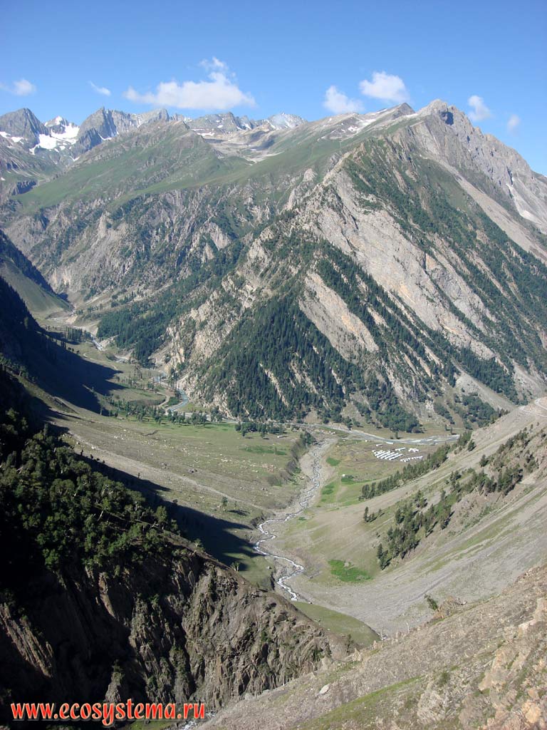 Altitudinal zonation in the Great Himalayas: coniferous forest (Himalayan cedar, fir) – juniper woodlands - Alpine Meadows - Alpine Desert - nival belt at altitudes from 2,500 to 4,500 m above sea level. Himachal Pradesh, Northern India