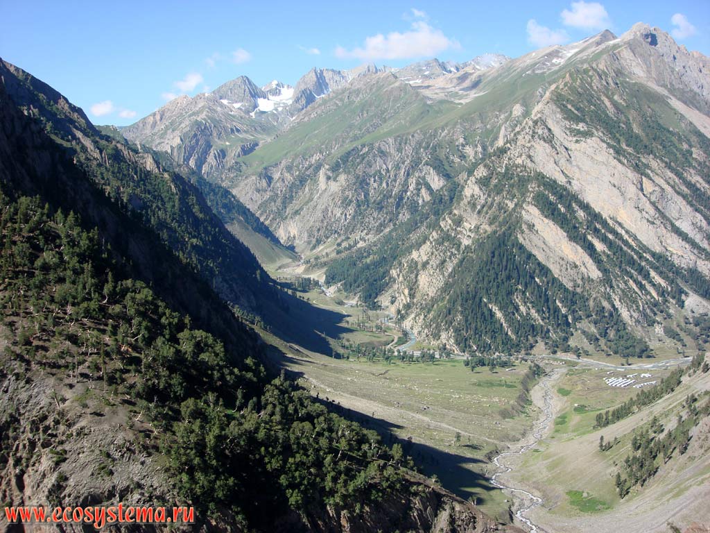 Высотная поясность в Больших Гималаях: темнохвойные леса (гималайский кедр, пихта) - можжевельниковые редколесья - альпийские луга - высокогорная пустыня - нивальный пояс на высотах от 2500 до 5000 м над уровнем моря. Штат Химачал-Прадеш, север Индии