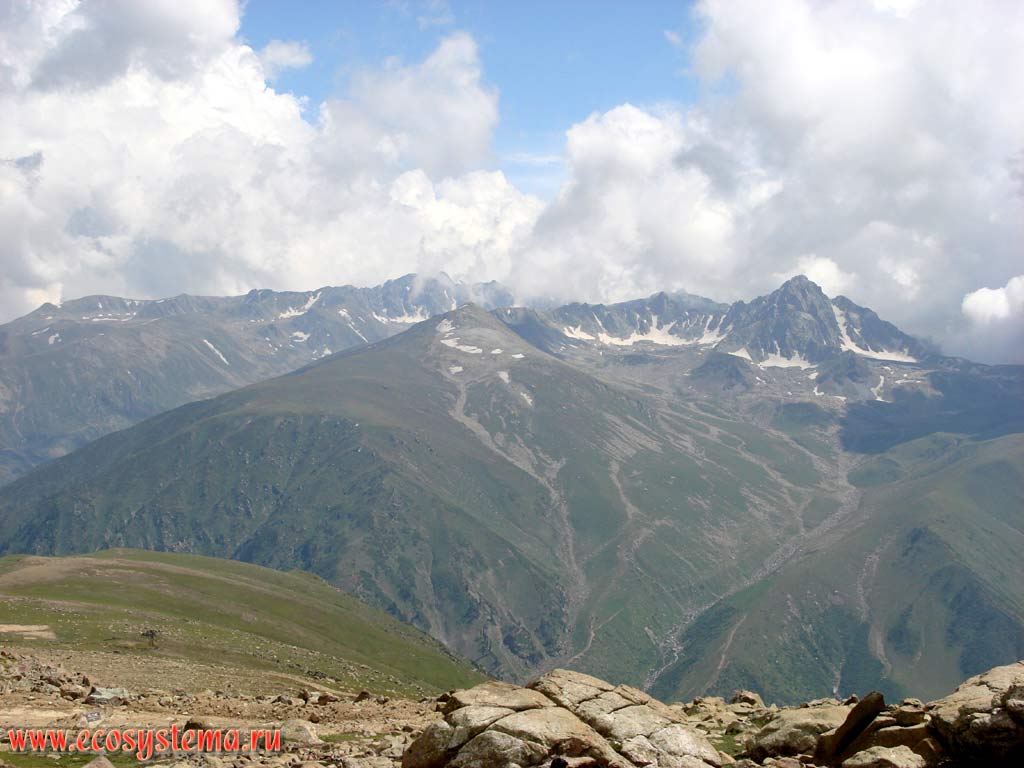 Alpine zone with alpine meadows and nival belt at altitudes from 2,500 to 3,500 m above sea level. Foothills of Pir-Pandzhal (Small Himalayas), near the town of Gulmarg, Jammu and Kashmir, Northern India