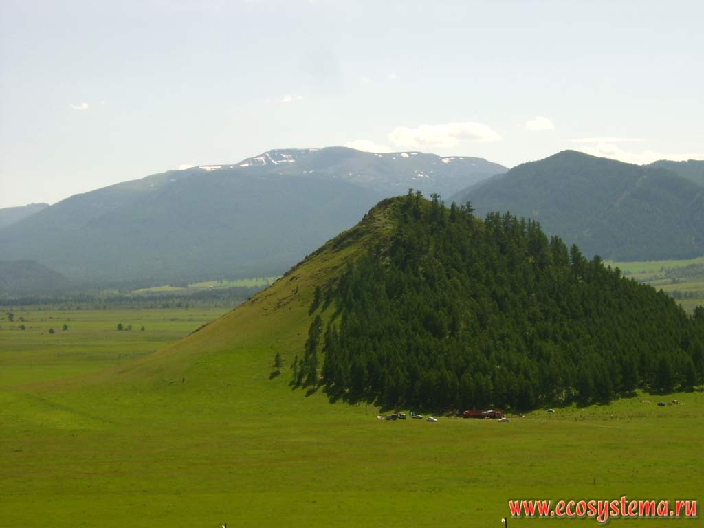 Tectonic outlier in the mountain hollow, occupied by the Elo River valley with meadowsteppes. Conifer forests cover the slopes of northern exposure outlier. Height is about 1200 meters above sea level. Northwestern Altai, Ongudansky District, Altai Republic