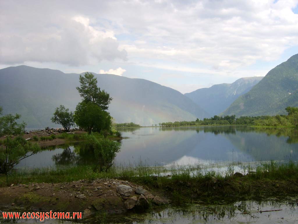 Oxbow lake at the mouth of the Chulyshman River. In the background - Chulyshman Highlands (altitude peaks around 2000 m above sea level). Upper (southern) part of the Teletskoye lake, Ulagansky District, Altai Republic