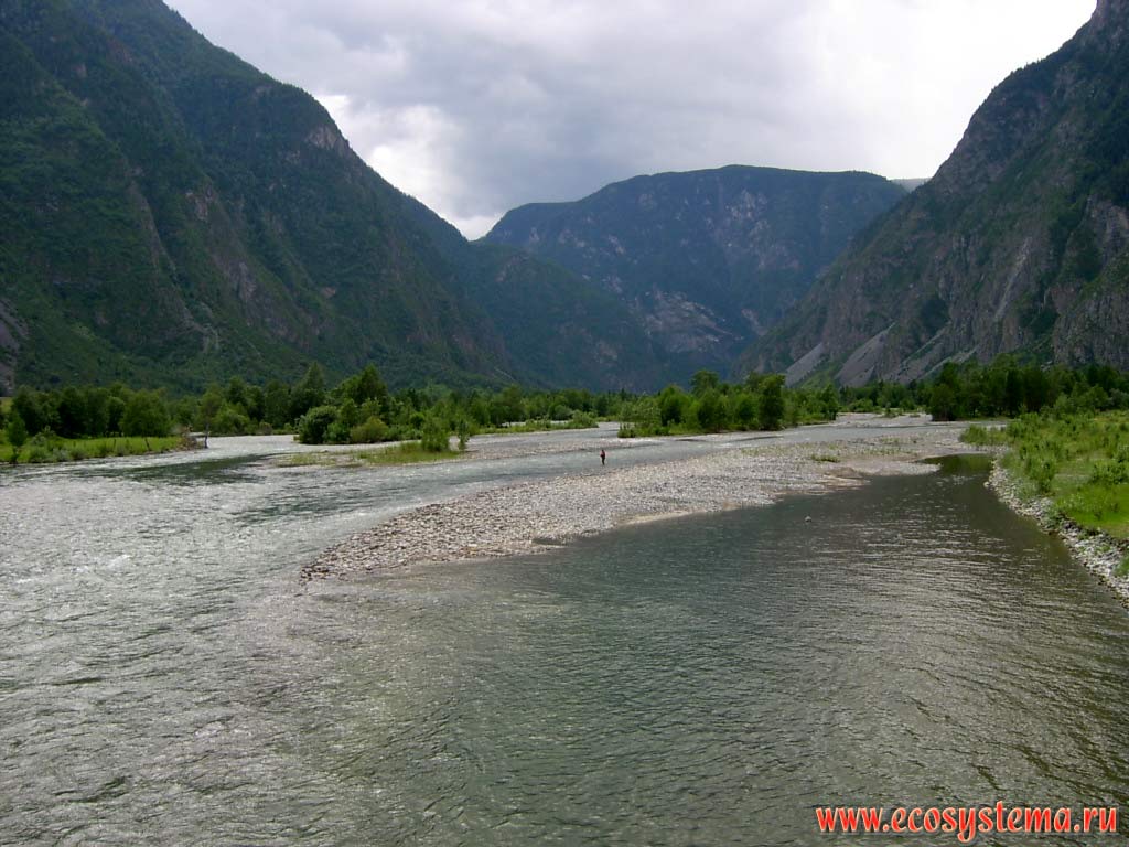 The valley of the Chulyshman river with rocky braids and floodplain, overgrown small-leaved forests (willow, aspen). Chulyshman Highlands about 10 km from the mouth (confluence to the lake), Ulagansky District, Altai Republic