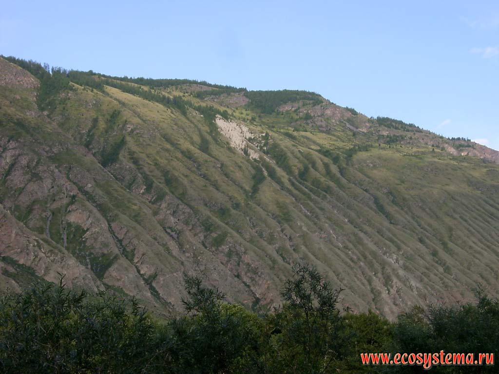 Erosion of the Chulyshman highlands slopes on the edge of the Chulyshman river valley. The height of peaks around 2000 meters above sea level, the territory of the Altai State Reserve, Ulagansky District, Altai Republic