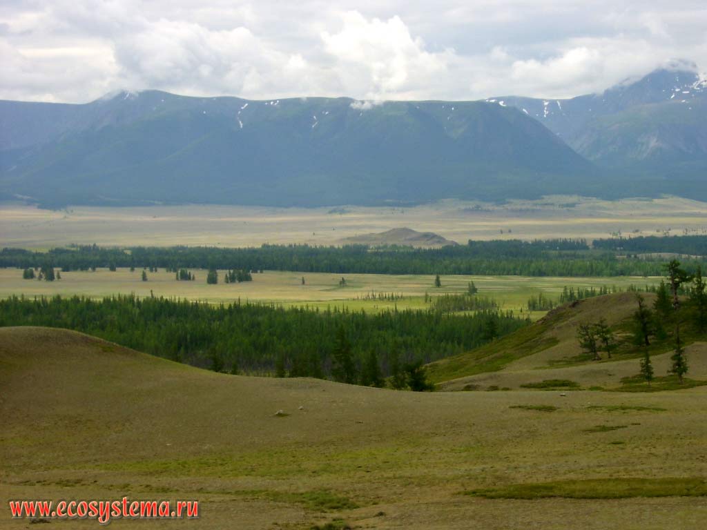 Geographical landscape of the Kurai steppe - the intermountain basin, which lies at an altitude of 1500 meters above sea level between Kuraiskiy and North-Chui ridge and river valley occupied by Chui. Dominated vegetation is desertified steppe and semi-shrubs dark coniferous forests. Far away - North-Chui ridge. Kosh-Agach District, Altai Republic