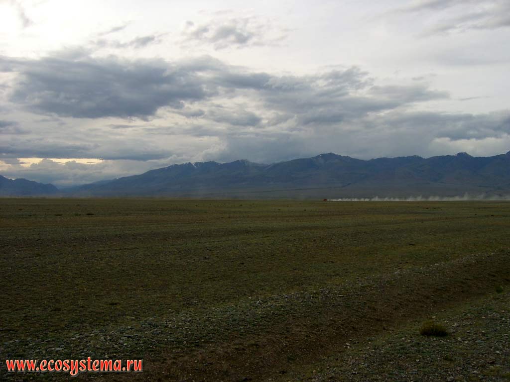 Chui (Chu) steppe - desertified plateau in the intermountain basin at an altitude of 1800 meters above sea level, dominated by drought and salt tolerant vegetation on stony grounds. Kosh-Agach District, Altai Republic