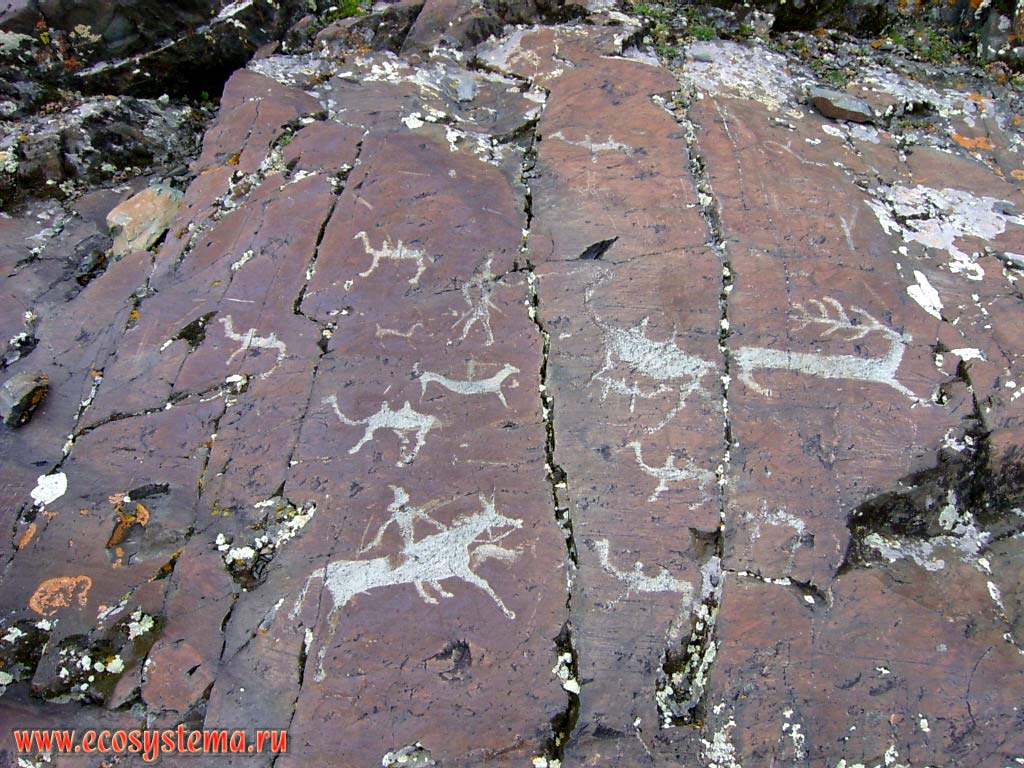 Rock paintings (petroglyphs), the ancient (early AD) period on the rocks in the Elangash river valley. Kosh-Agach District, Altai Republic