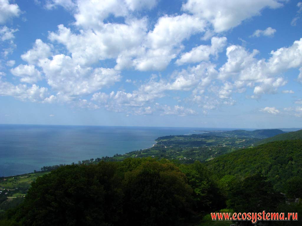 The Black Sea coast and the foothills of the Caucasus, covered with the deciduous forest near the town of Novy Afon. Western Caucasus, the Republic of Abkhazia