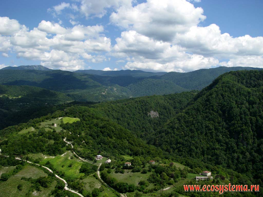 Midland landscape in the foothills of the Caucasus, covered by deciduous forests. Western Caucasus, the Republic of Abkhazia