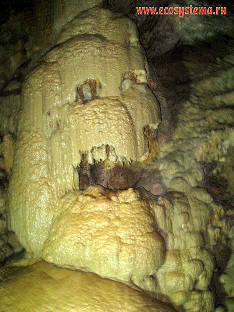 Натечно-капельное образование Череп в зале Анакопия в Новоафонской карстовой пещере,
расположенной у подножия Апсарской (Иверской) горы. Западный Кавказ, республика Абхазия