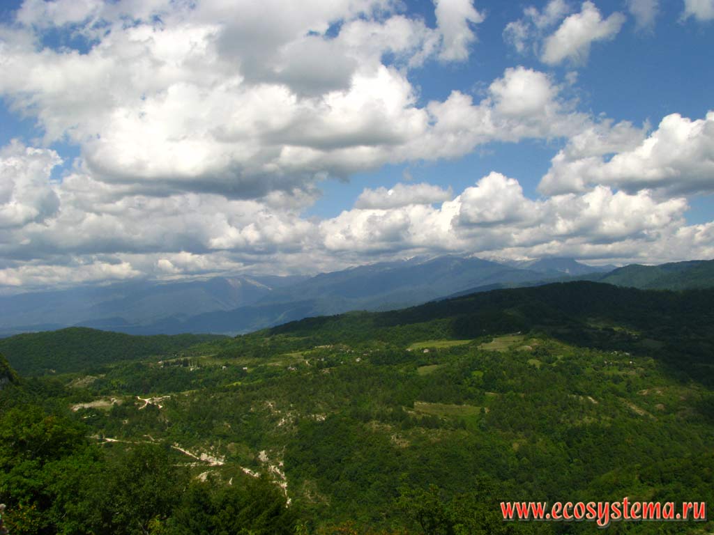 Типичный ландшафт среднегорья в предгорьях Кавказа, покрытых широколиственными лесами. Западный Кавказ, республика Абхазия