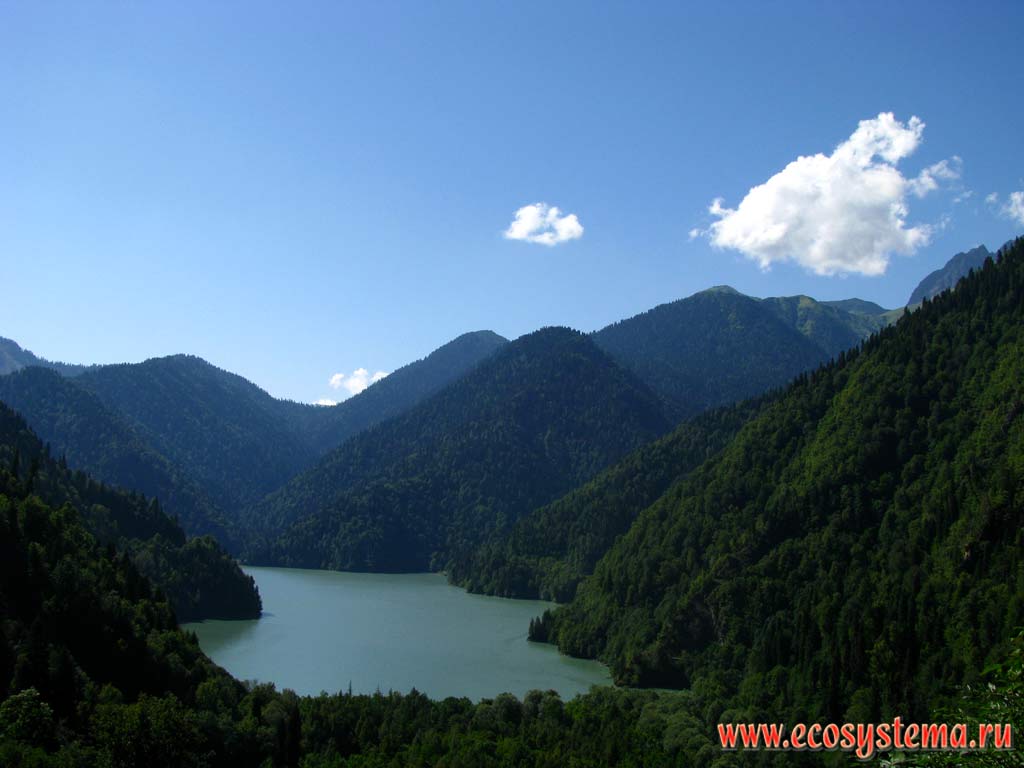 Riza lake in the basin of glacial-tectonic origin, surrounded by coniferous spruce-fir forests. The height of the Lake is 950 m above sea level. Ritsinsky National Park,Western Caucasus, the Republic of Abkhazia