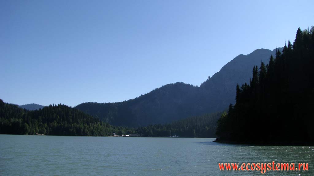 Riza lake surrounded by coniferous spruce-fir forests. The height of the Lake is 950 m above sea level. Ritsinsky National Park,Western Caucasus, the Republic of Abkhazia