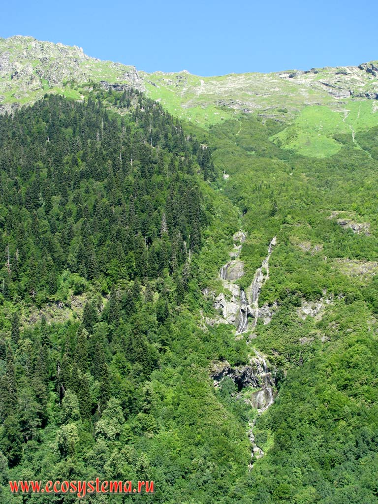 Altitudinal zonation in the mountains of the Greater Caucasus: dark coniferous (spruce-fir) and broadleaved (beech) forests give way to the subalpine meadows on the slopes at an altitude of about 2500 m asl. Ritsinsky National Park, Western Caucasus, the Republic of Abkhazia