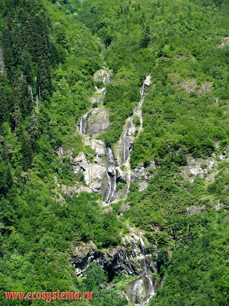 A small waterfall in the mountains in the upper altitude zone of the forest belt. Height is about 2000 m above sea level. Western Caucasus, the Republic of Abkhazia