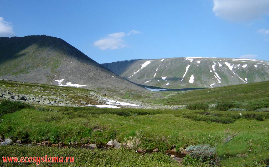 River Valley with azonal vegetation of tundra type: forb meadows and riparian willow. Subpolar Urals, Yugyd-Va National Park, the Komi Republic