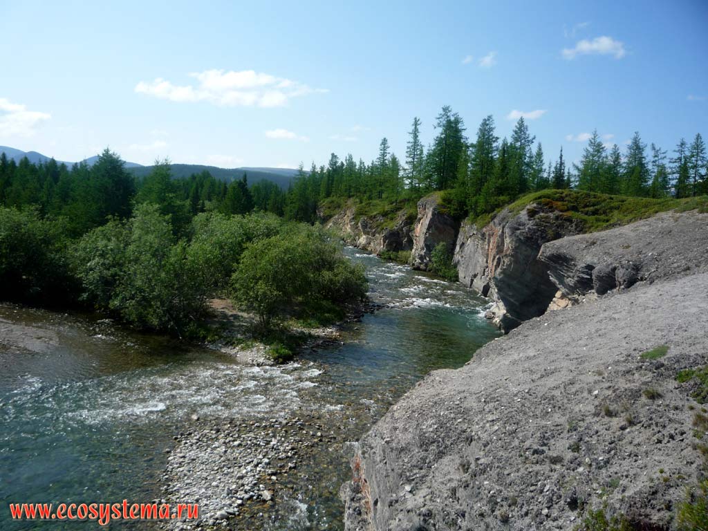 The mountain river, flowing along the outcrop of bedrock with decidious forest (willows) in the floodplain and coniferous forest in the native shore. Subpolar Urals, Yugyd-Va National Park, the Komi Republic