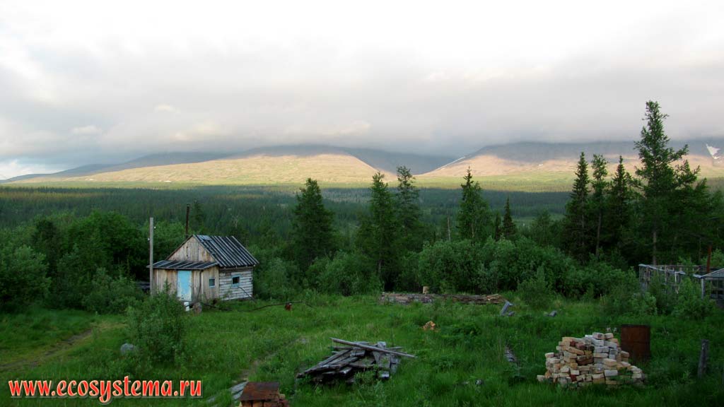 Типичный ландшафт Приполярного Урала: темнохвойные леса в межгорной впадине (на высотах до 500-700 м над уровнем моря) сменяются
горными тундрами на склонах гор