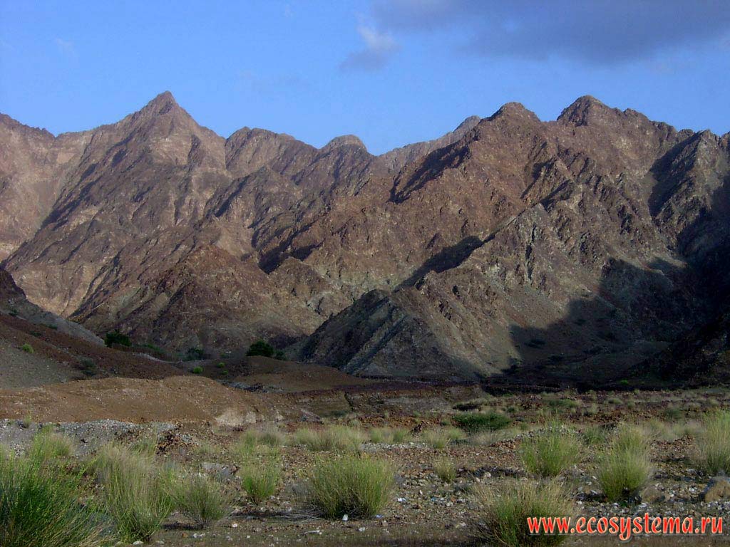Горы (горная цепь) Ходжар, сложенные мезозойскими известняками, с полупустынной ксерофитной растительностью. Аравийский полуостров,
эмират Фуджейра (Fujairah), Объединенные Арабские Эмираты (ОАЭ)