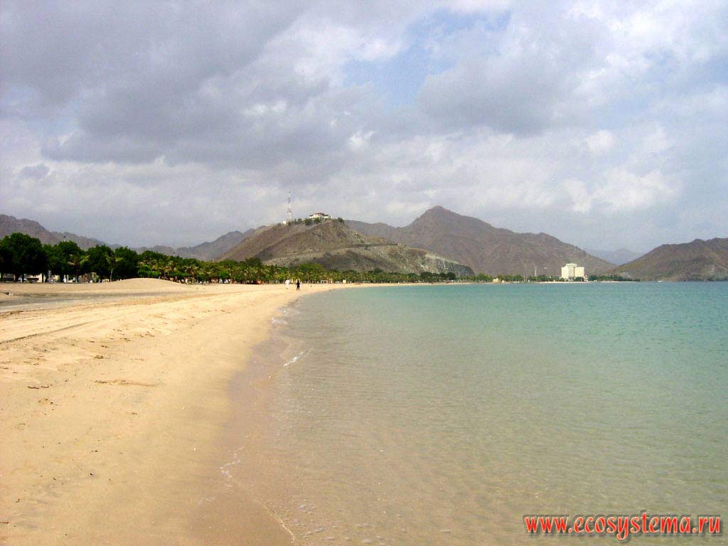 Sandy beach on the Gulf of Oman, Indian Ocean. Suburbs of the Khor Fakkan, Arabian Peninsula, Fujairah, United Arab Emirates (UAE)