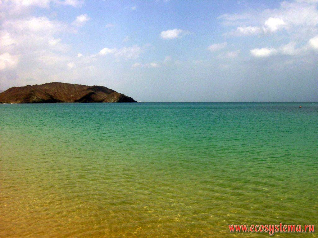 Воды Оманского залива на побережье Индийского океана. Окрестности города Корфаккан (Khor Fakkan), эмират Фуджейра (Fujairah),
Объединенные Арабские Эмираты (ОАЭ), Аравийский полуостров