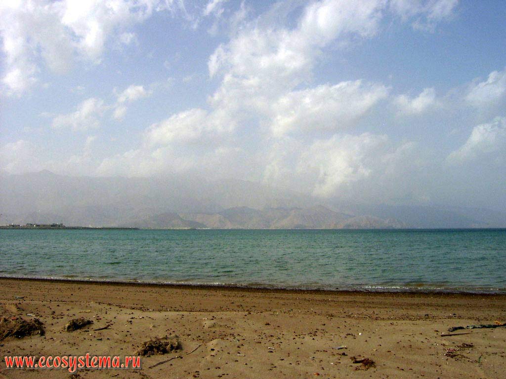 Песчаный пляж на берегу Оманского залива Индийского океана. Окрестности города Корфаккан (Khor Fakkan), эмират Фуджейра (Fujairah),
Объединенные Арабские Эмираты (ОАЭ), Аравийский полуостров