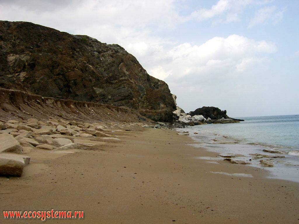 One of the few remaining wild (natural) plots on the Gulf of Oman coast of Indian Ocean, with a sandy beach during low tide. Vicinity of Dibba, Arabian Peninsula, Fujairah, United Arab Emirates (UAE)