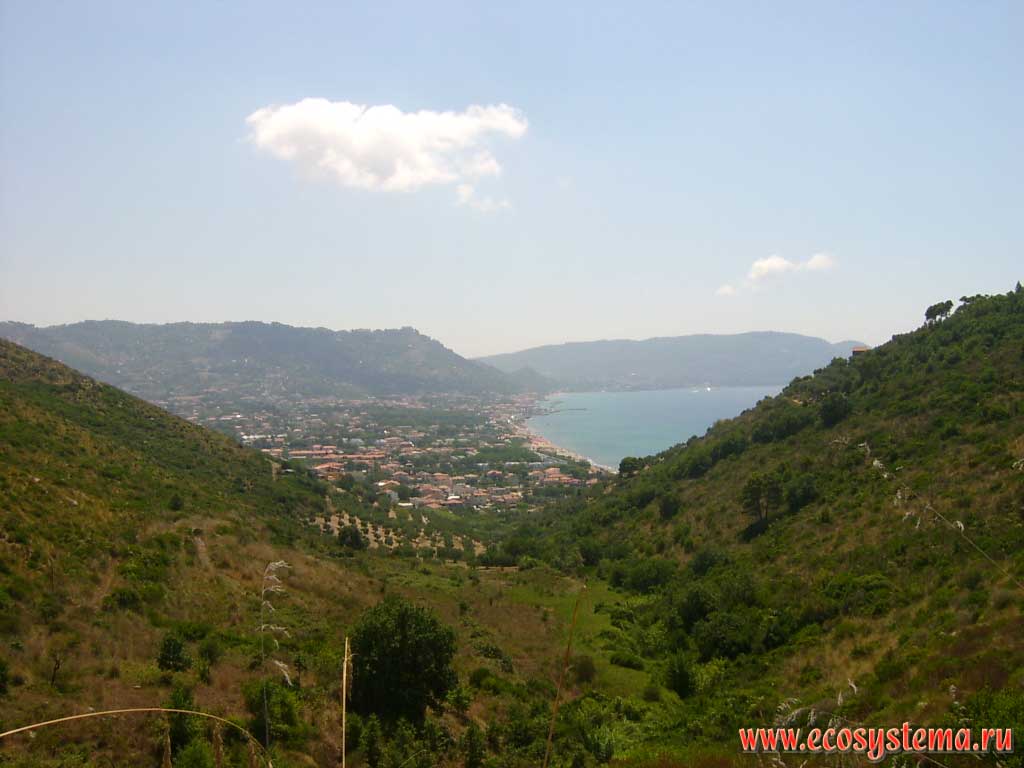 A typical Mediterranean landscape on the coast of the Tyrrhenian Sea. Cilento National Park, in the distance - the city Castellabate, Province of Salerno, Campania Region, Southern Italy