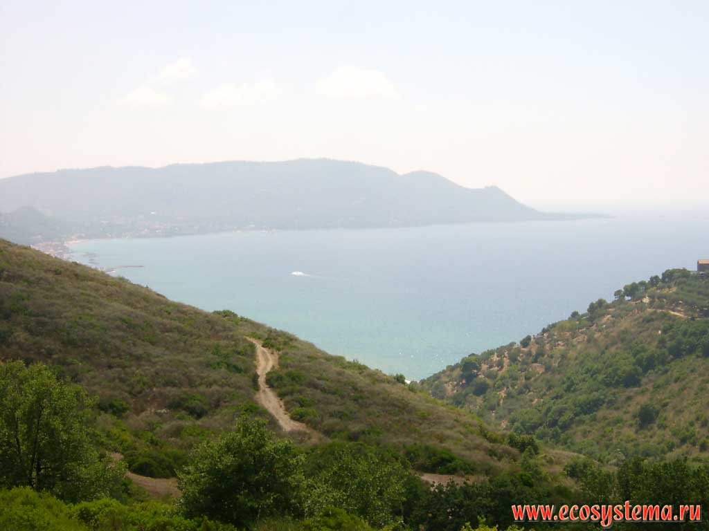 A typical Mediterranean landscape on the coast of the Tyrrhenian Sea. Cilento National Park, in the distance - the city Castellabate, Province of Salerno, Campania Region, Southern Italy