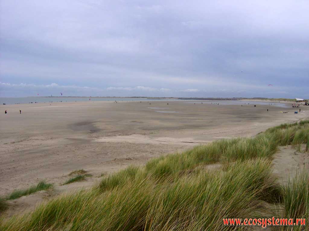North Sea coast with its sandy beaches during low tide. The island of Walcheren in the Strait of Eastern Scheldt (Ooosterschelde), near the town of Nord-Beveland (Noord-Beveland), Province of Zealand (Zeeland), north-west of the Netherlands, Northern Europe