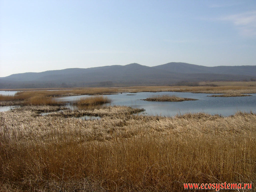 Freshwater marshy lakes, overgrown with reeds, on the foothills between the Black sea and the Strandja (Strandzha) mountains
