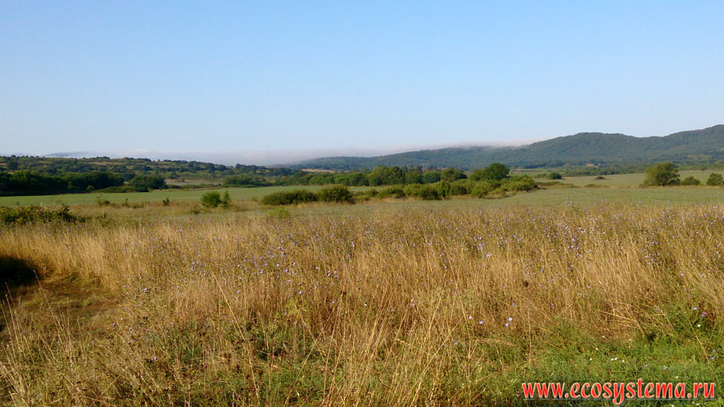 Meadow steppe, agricultural fields and broad-leaved forest on the foothills between the Black sea and the Strandja (Strandzha) mountains