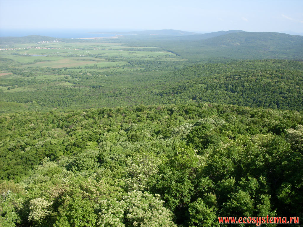 Широколиственные леса на низкогорном массиве Странджа и водохранилище на реке Ропотамо