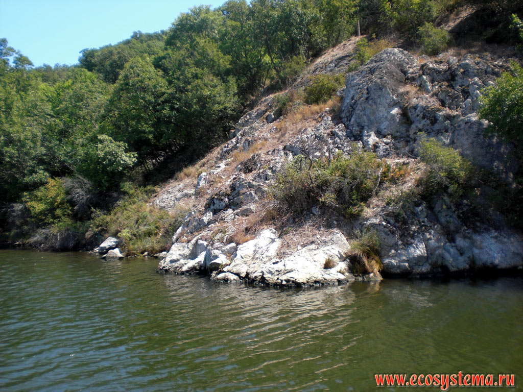 Rocky bank of the Ropotamo river at the place of its confluence with the Black sea in the delta area