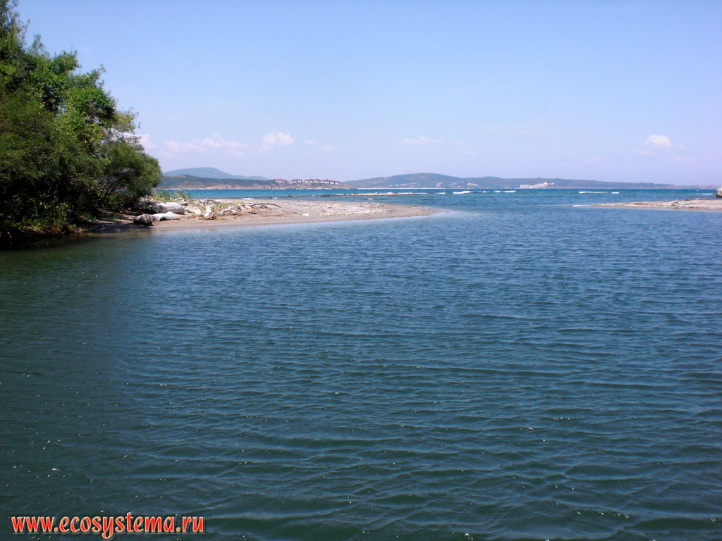 Эстуарий реки Ропотамо в месте ее впадения в Чёрное море на территории резервата (природного национального парка Ропотамо