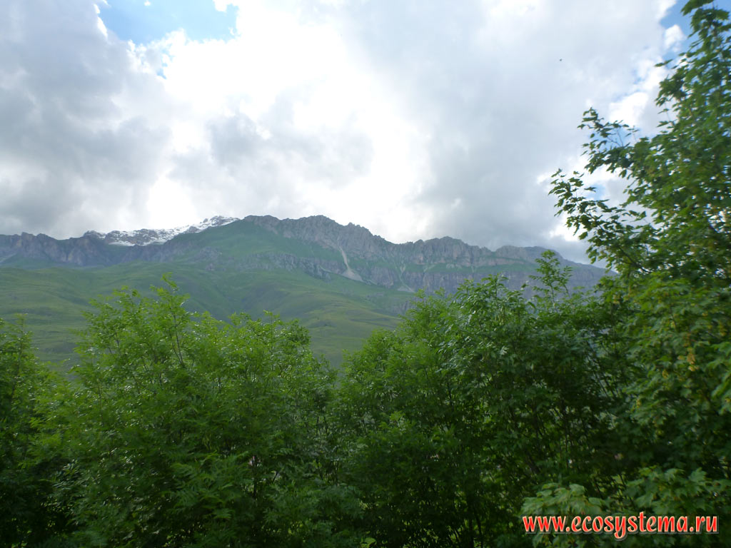 Средневысотные горы в предгорьях Большого Кавказа, в нижней части покрытые широколиственными лесами, а в верхней части горного хребта - субальпийскими и альпийскими лугами, а на вершинах занятые нивальным поясом