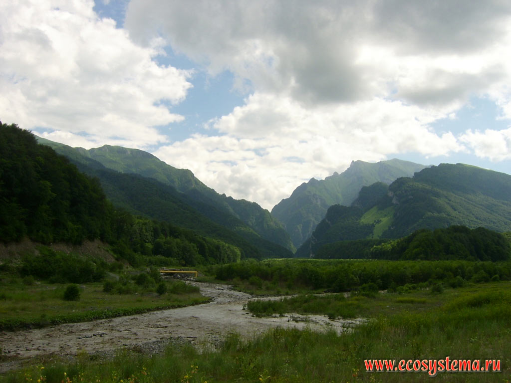 The tributary of the river. Fiagdon - a small mountain river flowing from the gorge in the foothills of the Greater Caucasus, covered with deciduous forests