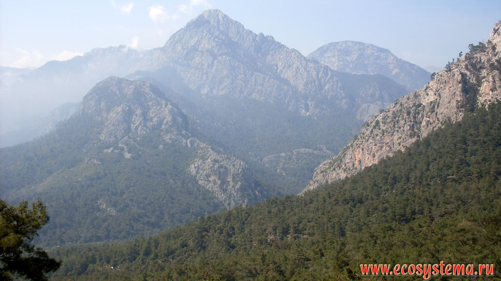 The spurs of the mountain Beydaglari range, covered with light coniferous forests with predominance of the Turkish, or Calabrian Pine (Pinus brutia)