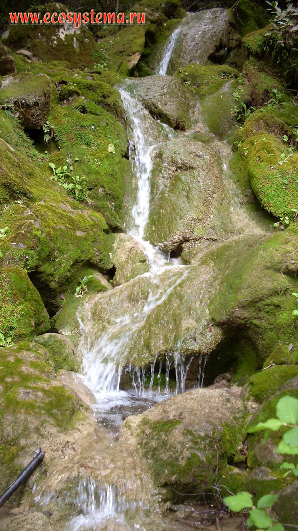 Небольшой водопад на ручье, впадающем в реку Гёйнюк (в каньоне Гейнюк) в национальном парке Олимпос-Бейдаглары
