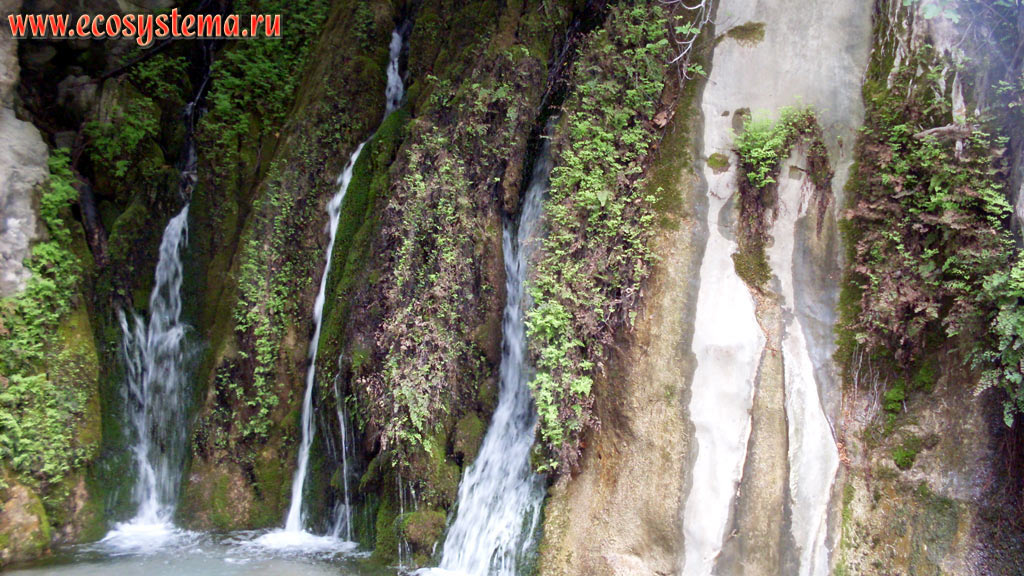 Небольшой водопад на ручье, впадающем в реку Гёйнюк (в каньоне Гейнюк) в национальном парке Олимпос-Бейдаглары (Бейдаглары Сахиль)