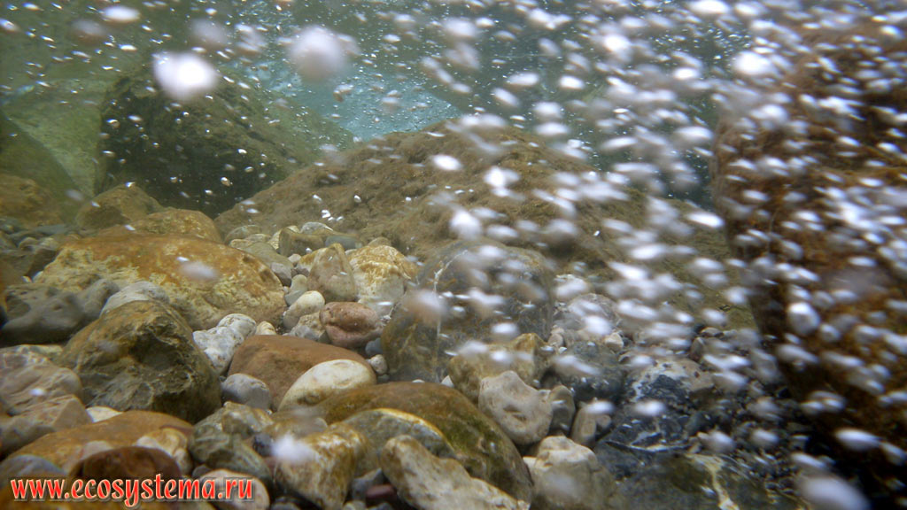 Дно и насыщенная пузырьками воздуха вода в реке Гёйнюк (в каньоне Гейнюк) под впадающим в нее водопадом. Национальный парк Олимпос-Бейдаглары