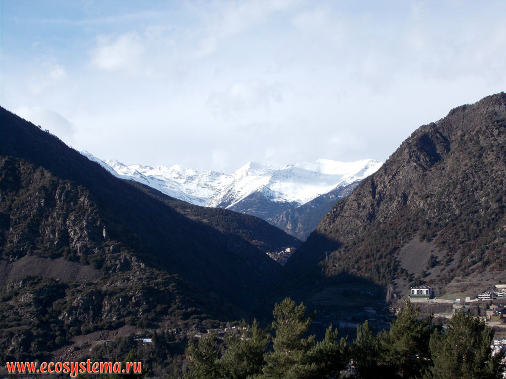 The slopes of the Pyrenees Mountains, covered with maquis (macchia) and garrigue (phrygana) - xerophytic shrubs and juniper, and snow-covered mountain range with peaks 2400-2900 meters above sea level