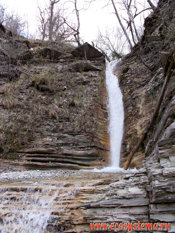 Small waterfall on a mountain stream in a deciduous forest with predominance of Beech (Fagus) and Oak (Quercus)