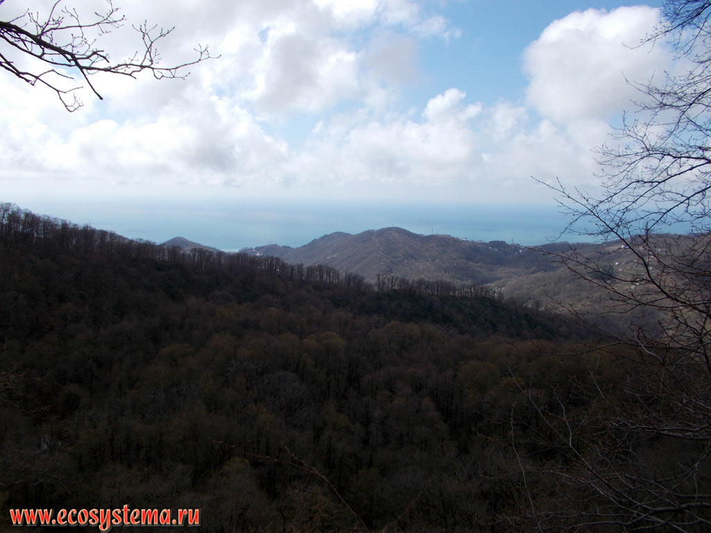 Вид на предгорья Северо-Западного Кавказа, покрытые широколиственными (дубово-буковыми) лесами, и побережье Чёрного моря вдали