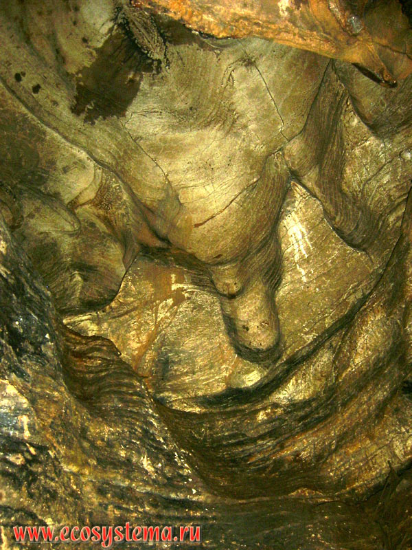 Формирующиеся (молодые) сталактиты в карстовой пещере на крутом склоне ущелья реки Хосты в предгорьях Западного Кавказа