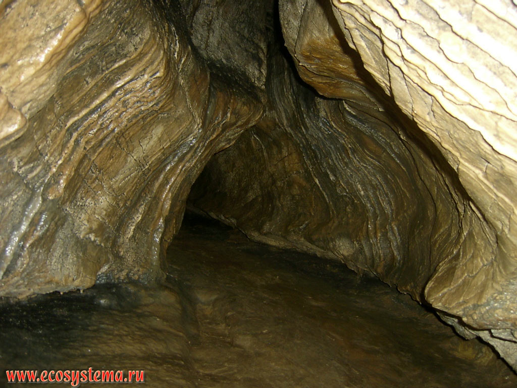 Отполированные водой стенки карстовой пещеры в крутом склоне ущелья реки Хосты в предгорьях Западного Кавказа