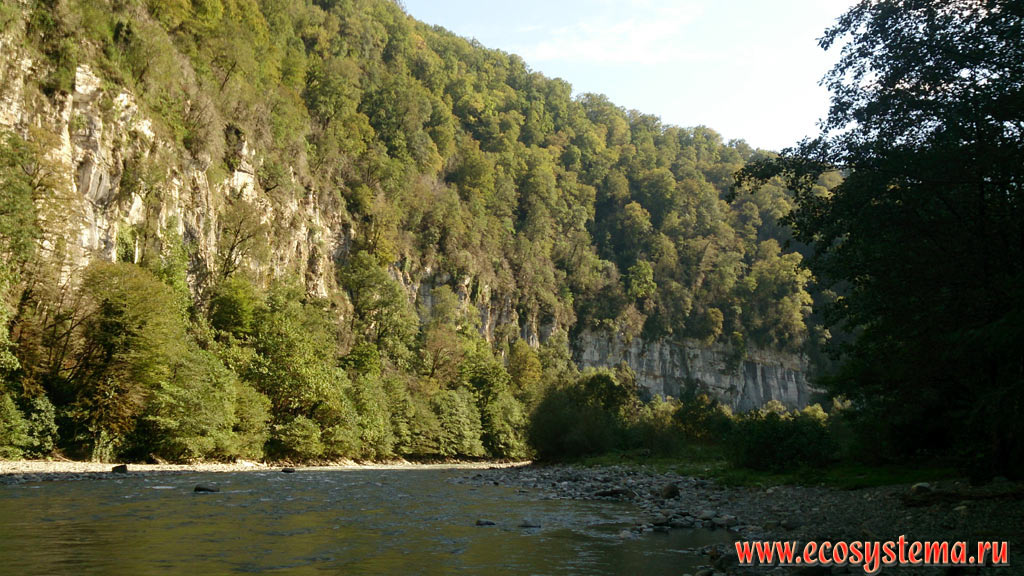The bed of the Mzymta river in the mountain valley covered by deciduous forest in the foothills of the Western Caucasus Mountains